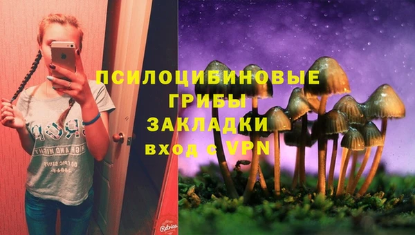 прущие крисы Нея