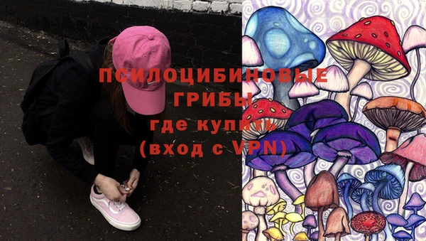 прущие крисы Нея